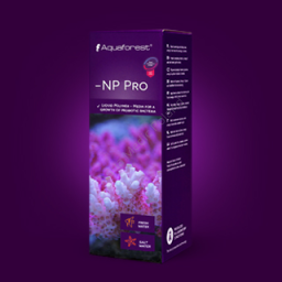 -NP Pro