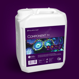 Component 1+, 2+, 3+