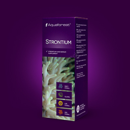 Strontium
