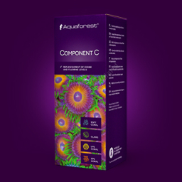 Component C 250ml