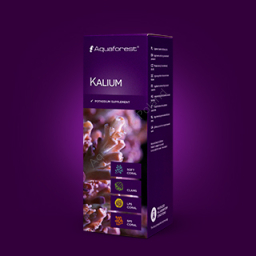 Kalium