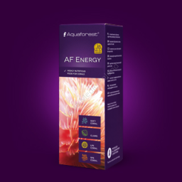 AF Energy