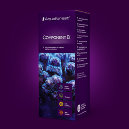 Component B 250ml