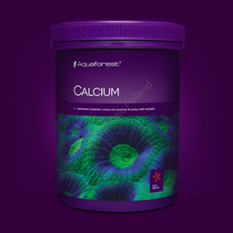 Calcium 