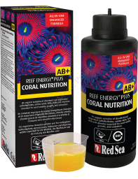 Reef Energy AB+