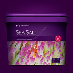Sea Salt 