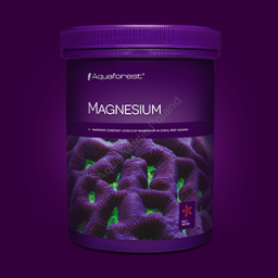 Magnesium 